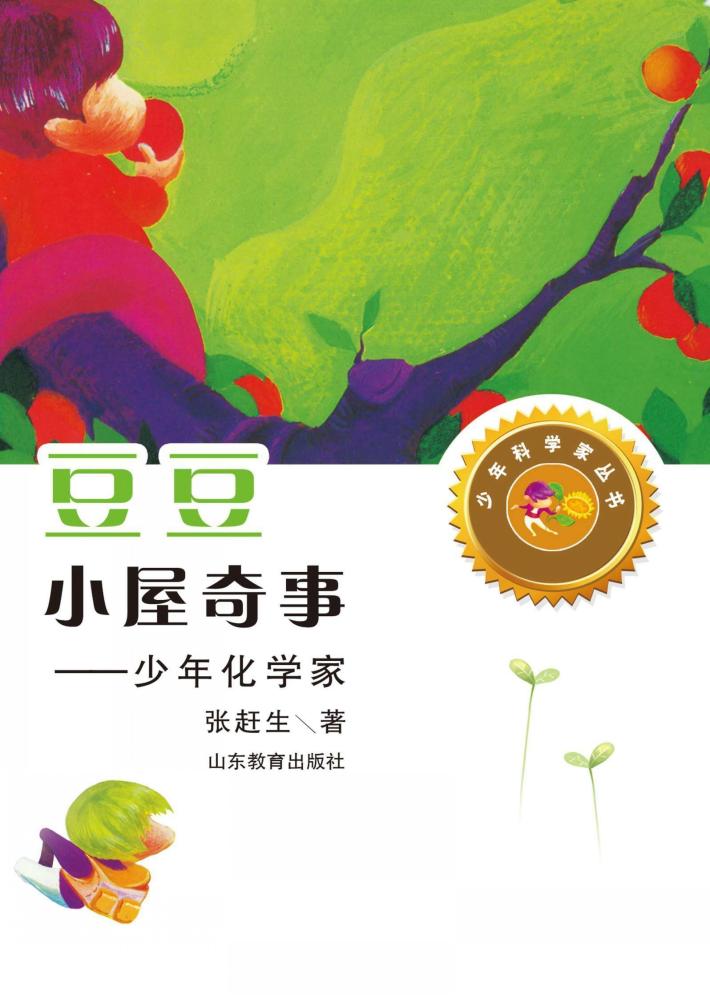 豆豆小屋奇事  少年化学家  第2版 封面