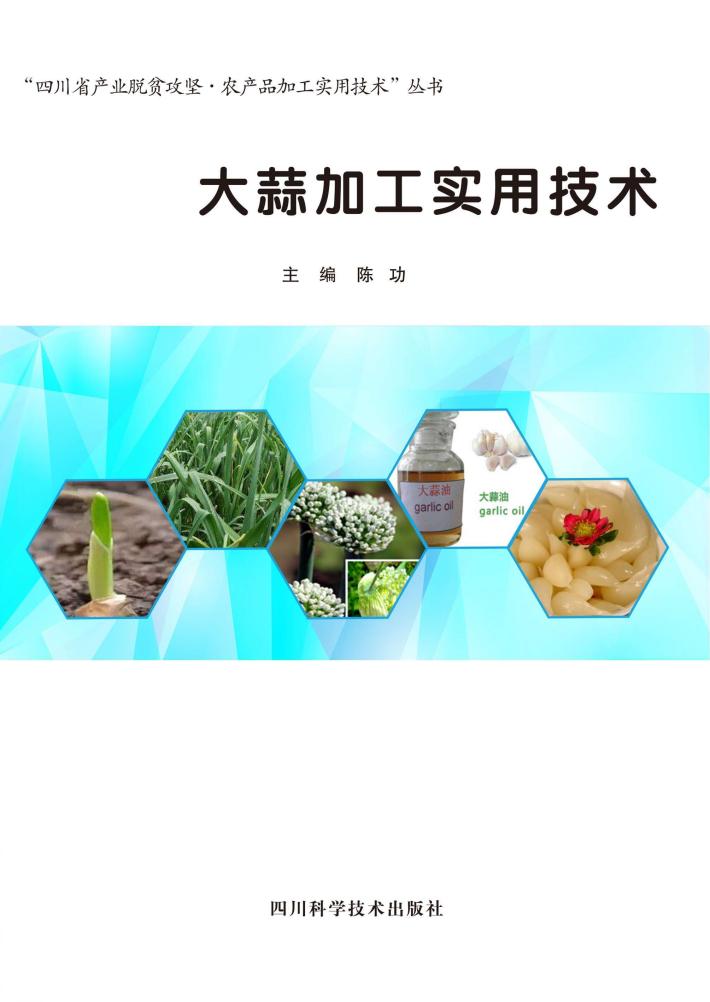 大蒜加工实用技术 封面
