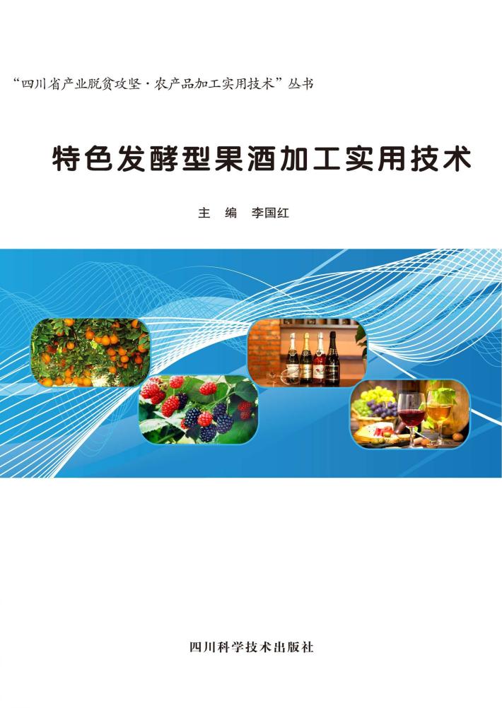 特色发酵型果酒加工实用技术 封面