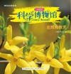 科学博物馆  连翘的春天  业务二部专用