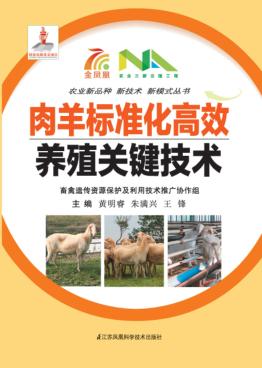 肉羊标准化高效养殖关键技术 封面