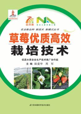 草莓优质高效栽培技术