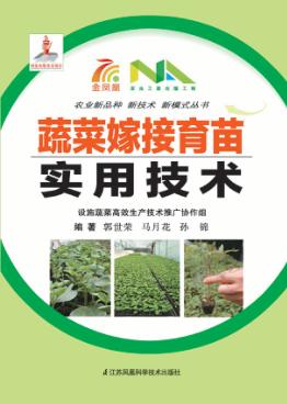 蔬菜嫁接育苗实用技术 封面
