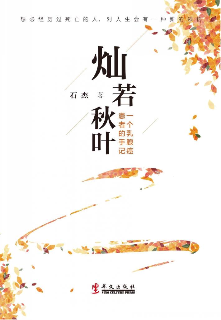 灿若秋叶 一个乳腺癌患者的手记 封面
