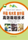 平菇  毛木耳  金针菇高效栽培技术 封面