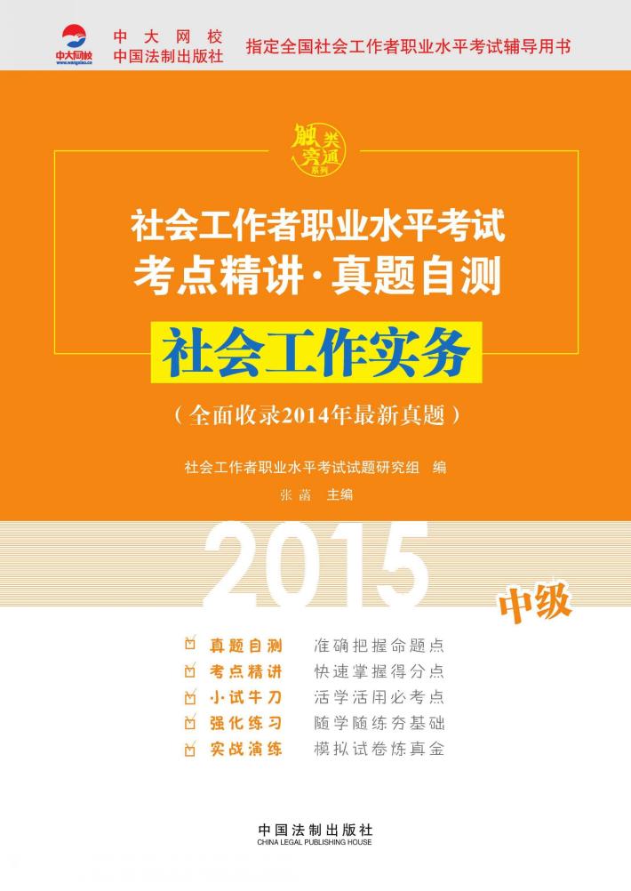 社会工作实务  中级 封面