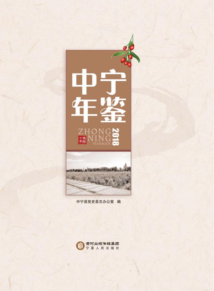 中宁年鉴  2018 封面