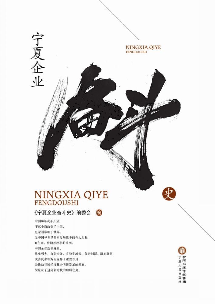 宁夏企业奋斗史 封面