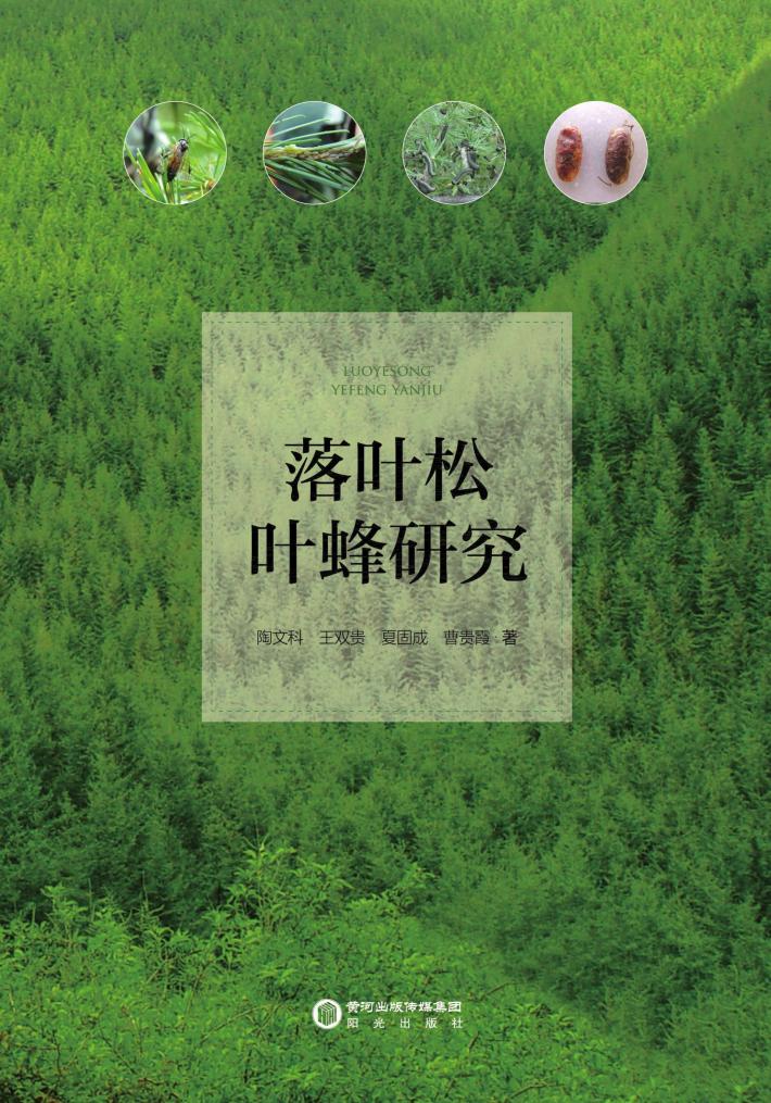 落叶松叶蜂研究 封面