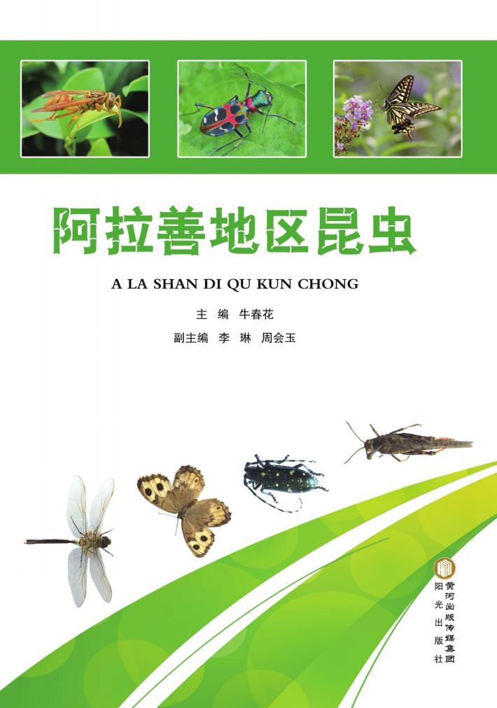 阿拉善地区昆虫 封面