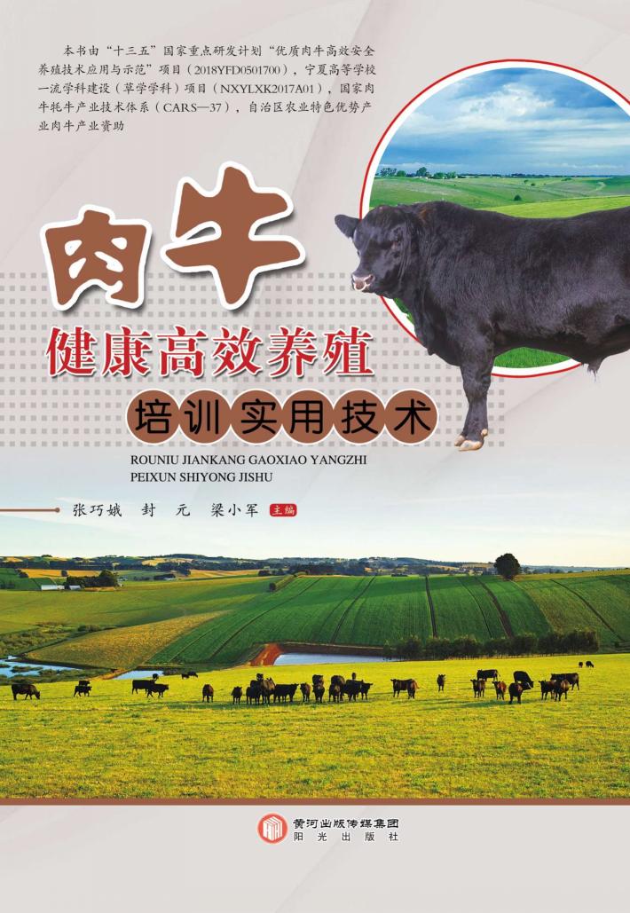 肉牛健康高效养殖培训实用技术 封面
