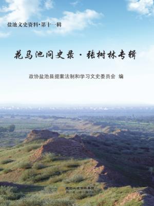 花马池问史录  张树林专辑 封面