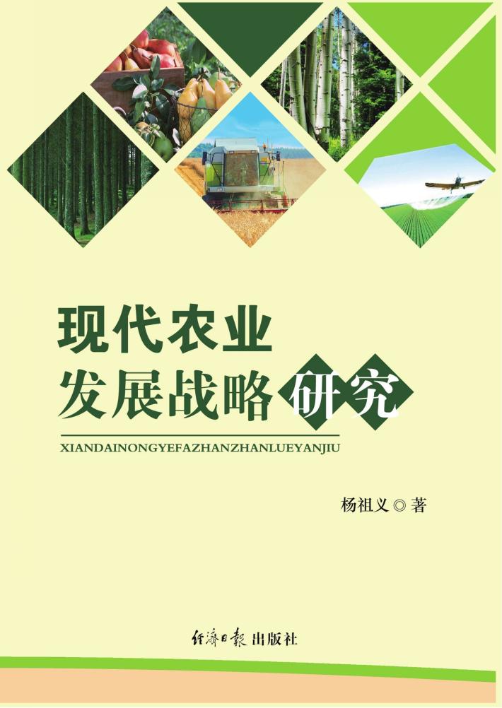 现代农业发展战略研究 封面