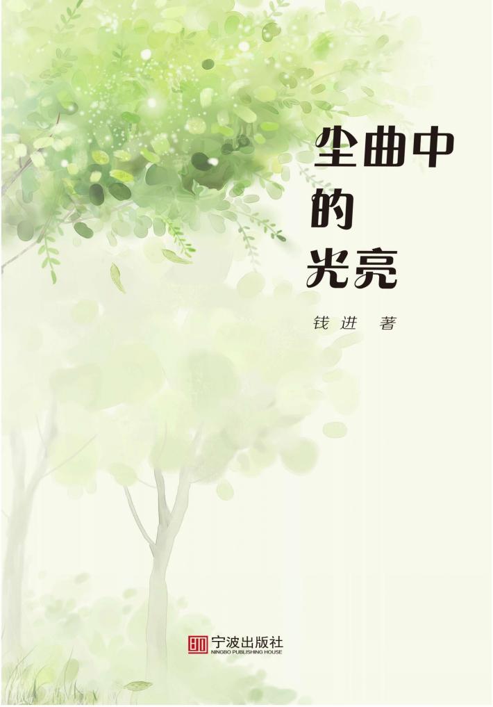 尘曲中的光亮 封面