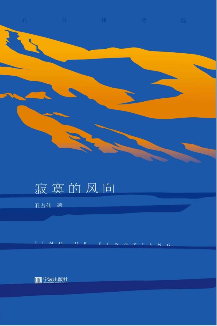 寂寞的风向  孔占伟诗选 封面