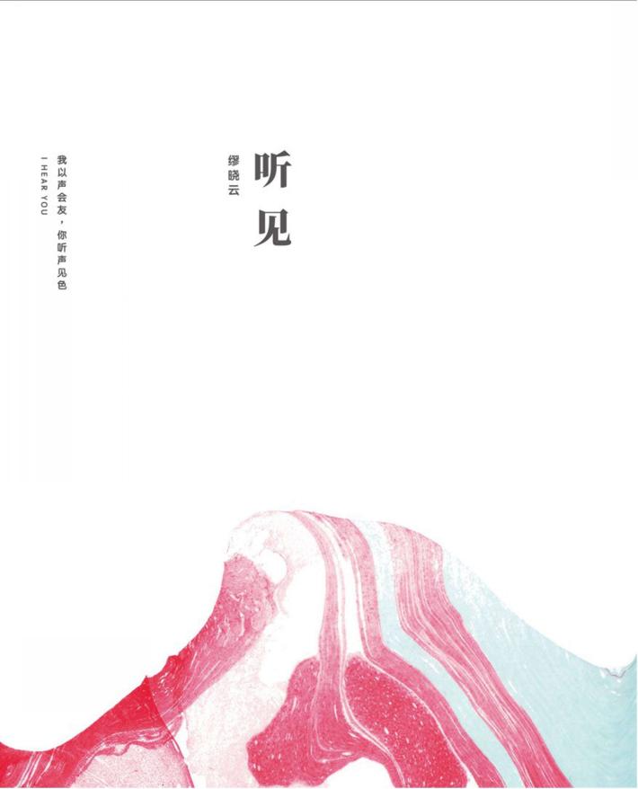 听见 封面