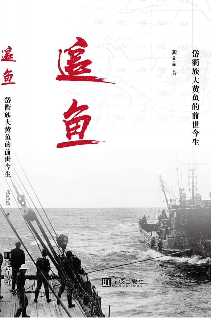 追鱼  岱衢族大黄鱼的前世今生 封面