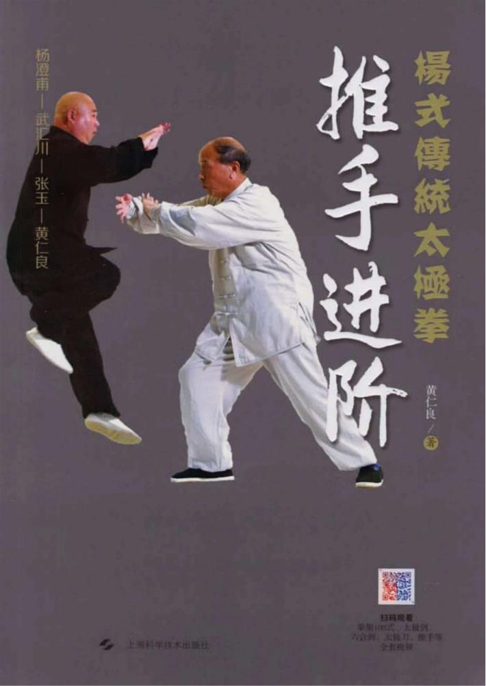杨式传统太极拳  推手进阶 封面
