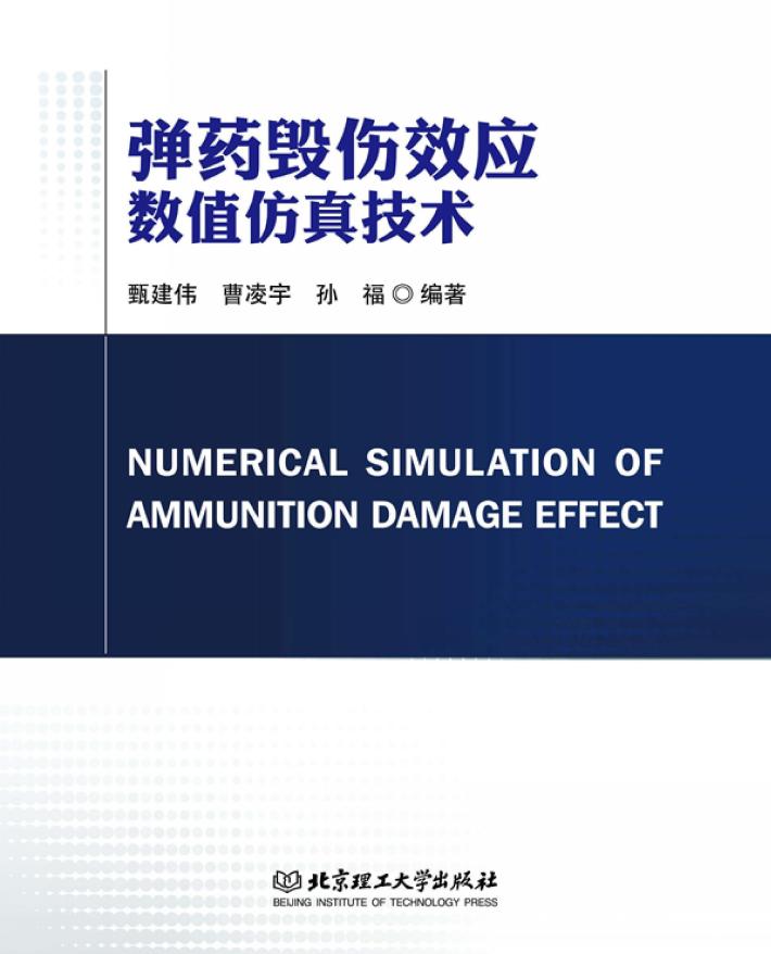 弹药毁伤效应数值仿真技术 封面