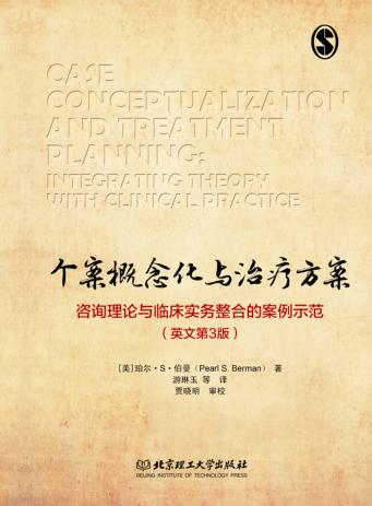 个案概念化与治疗方案 封面