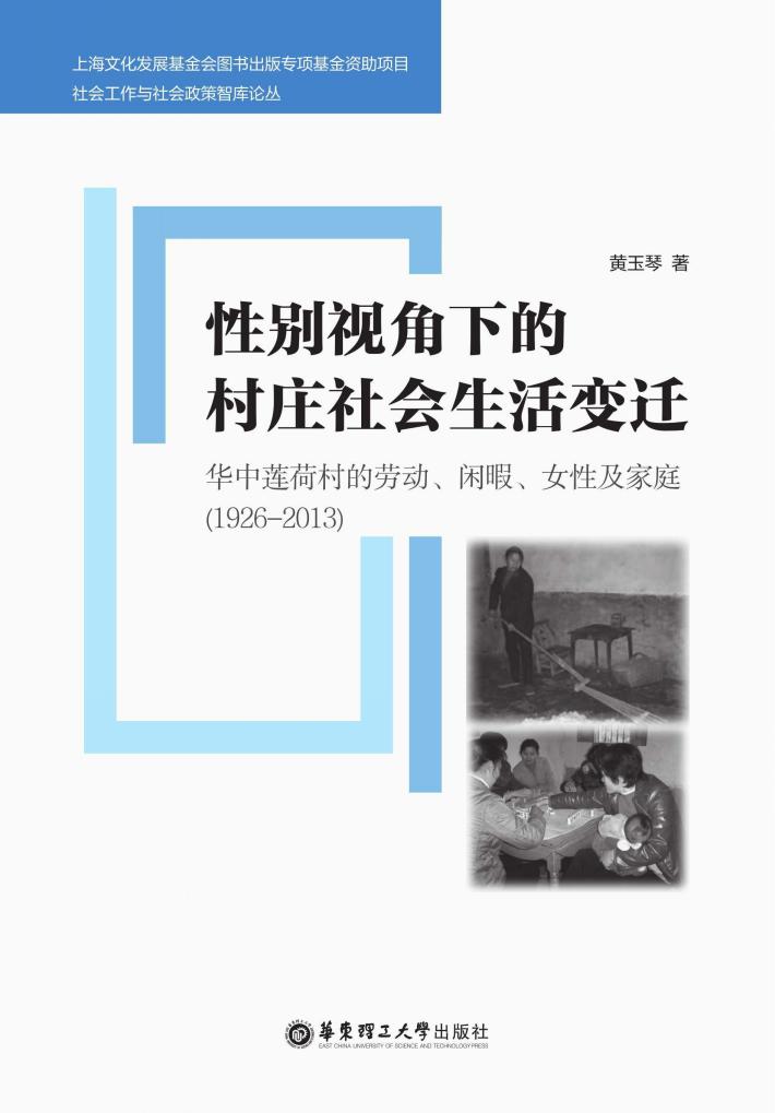 性别视角下的村庄社会生活变迁 封面