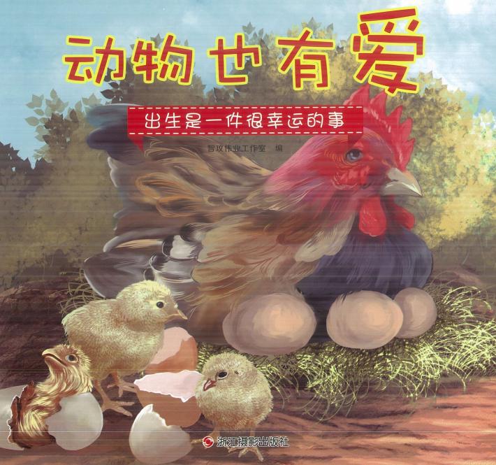 动物也有爱  出生是一件很幸运的事 封面