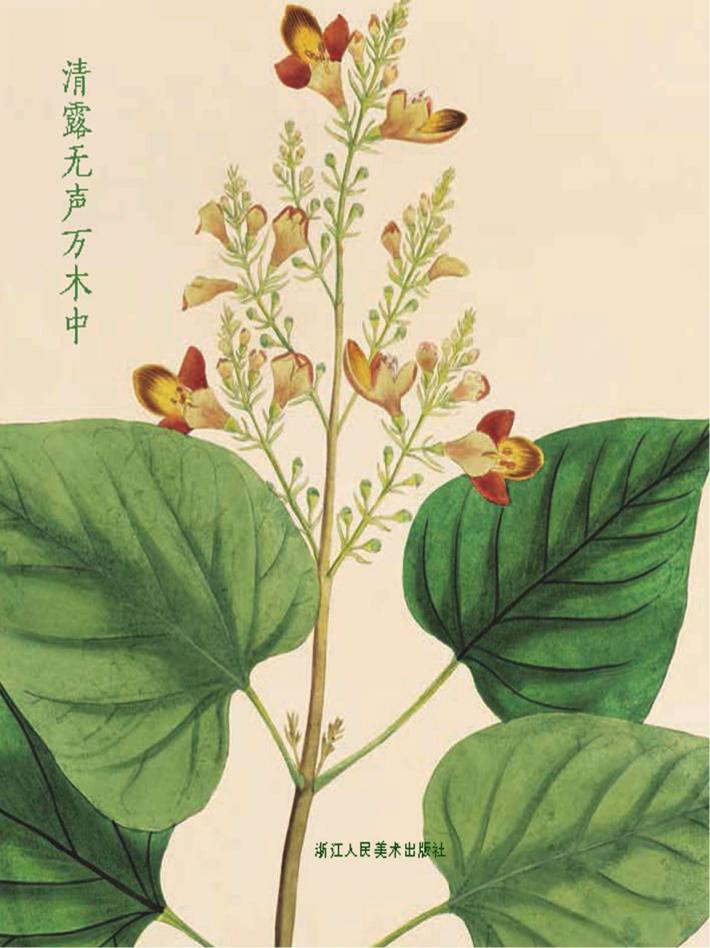 清露无声万木中 封面