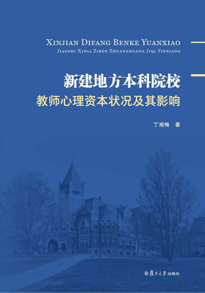 新建地方本科院校教师心理资本状况及其影响 封面
