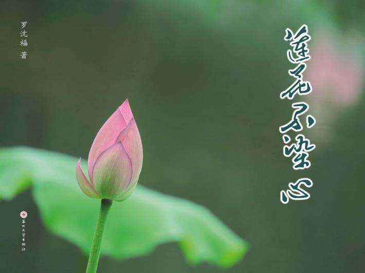 莲花不染心 封面