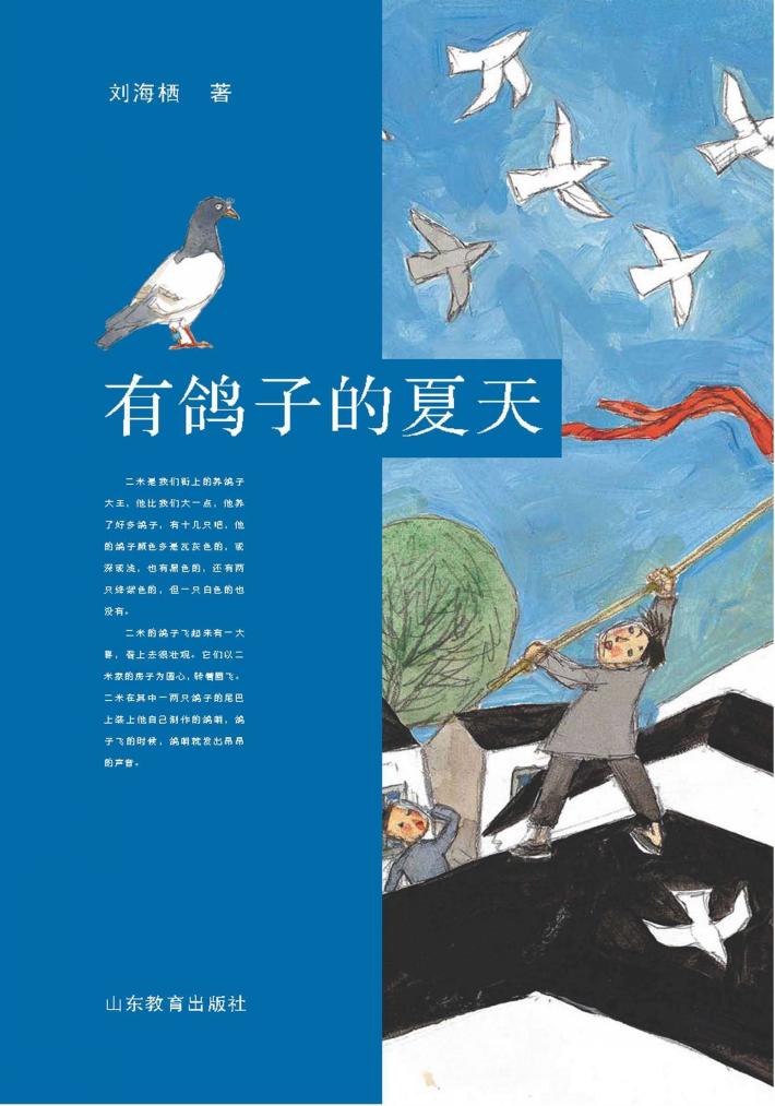 有鸽子的夏天 封面