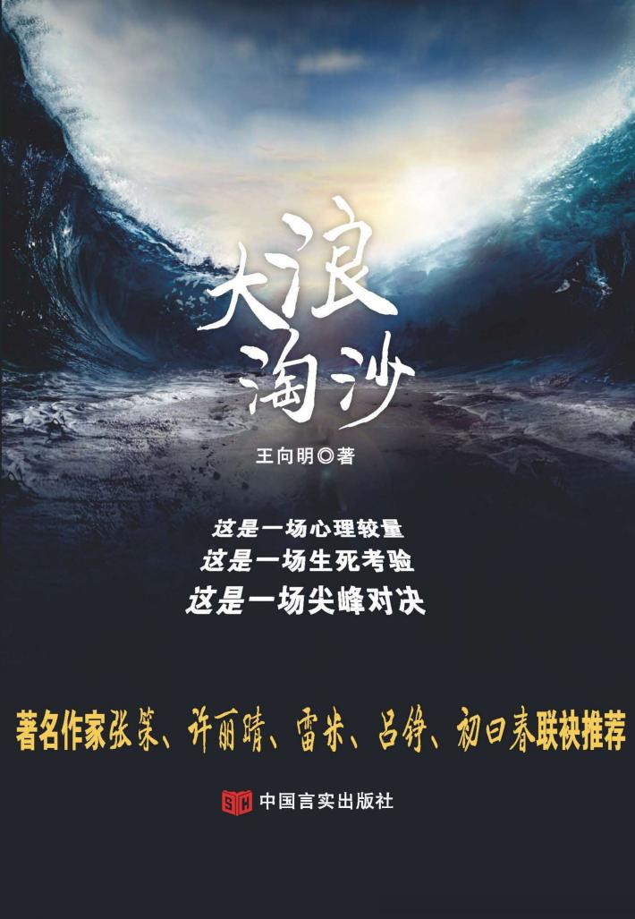 大浪淘沙 封面