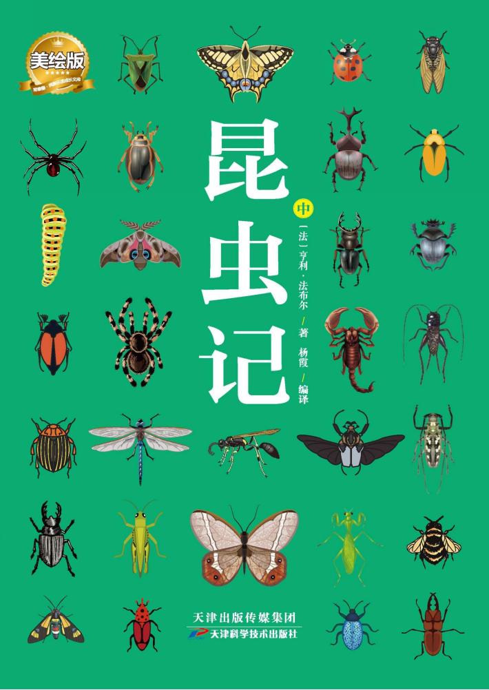昆虫记  美绘版  中 封面