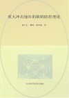 重大冲击地压的缺陷防控理论 封面