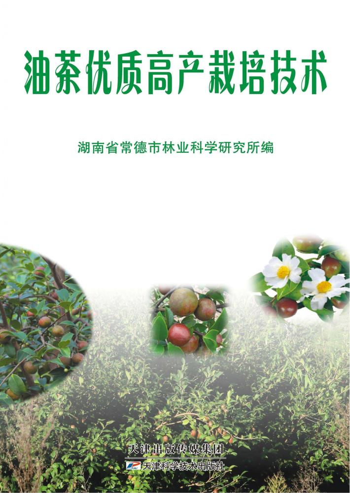 油茶优质高产栽培技术 封面