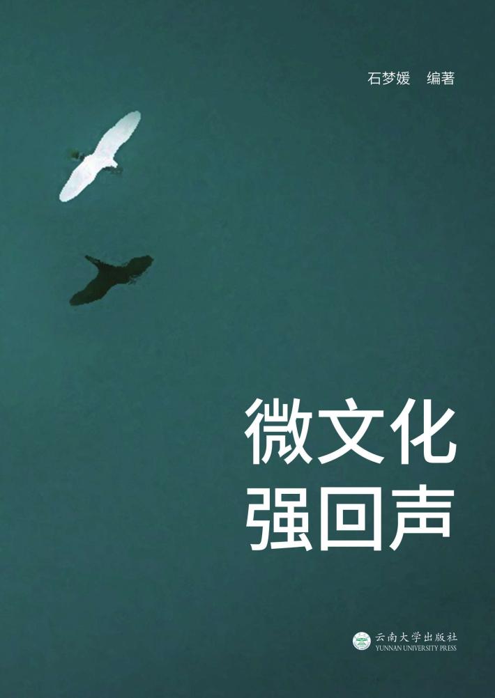 微文化 强回声 封面