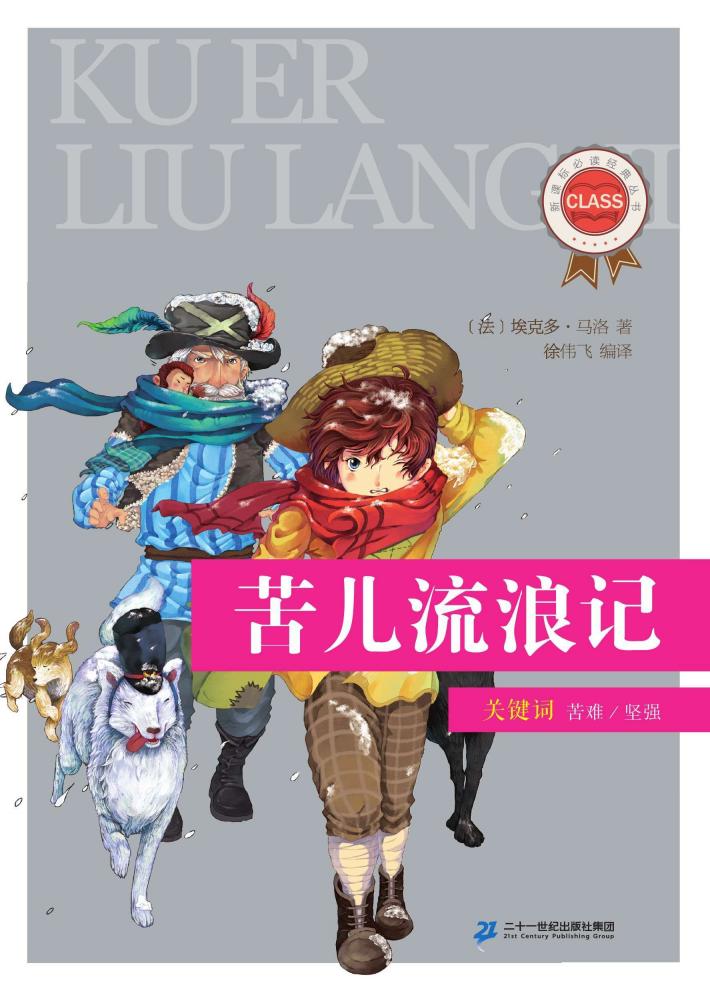 苦儿流浪记 封面