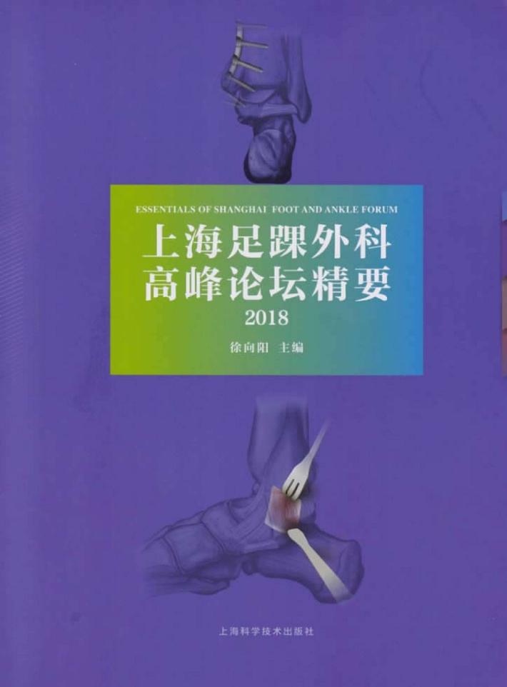 上海足踝外科高峰论坛精要 封面