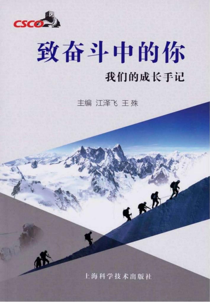 致奋斗中的你 封面