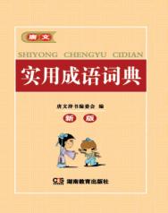 唐文辞书 实用成语词典 封面