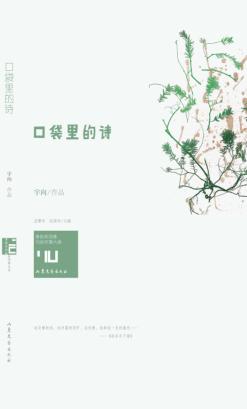 口袋里的诗 封面