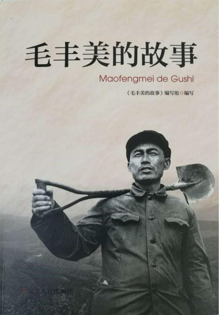 毛丰美的故事 封面