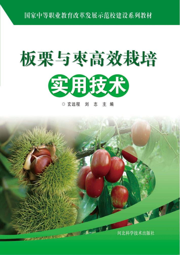 板栗与枣高效栽培实用技术 封面