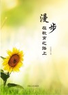 漫步在教育之路上 封面
