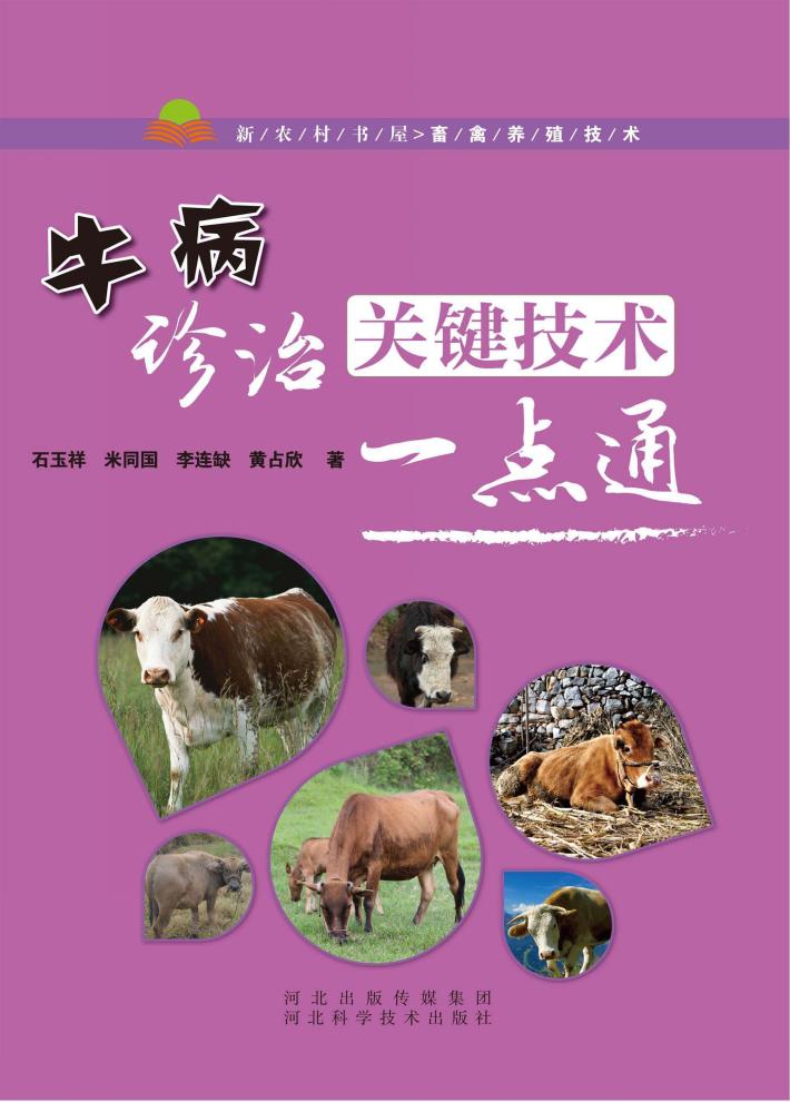 牛病诊治关键技术一点通 封面