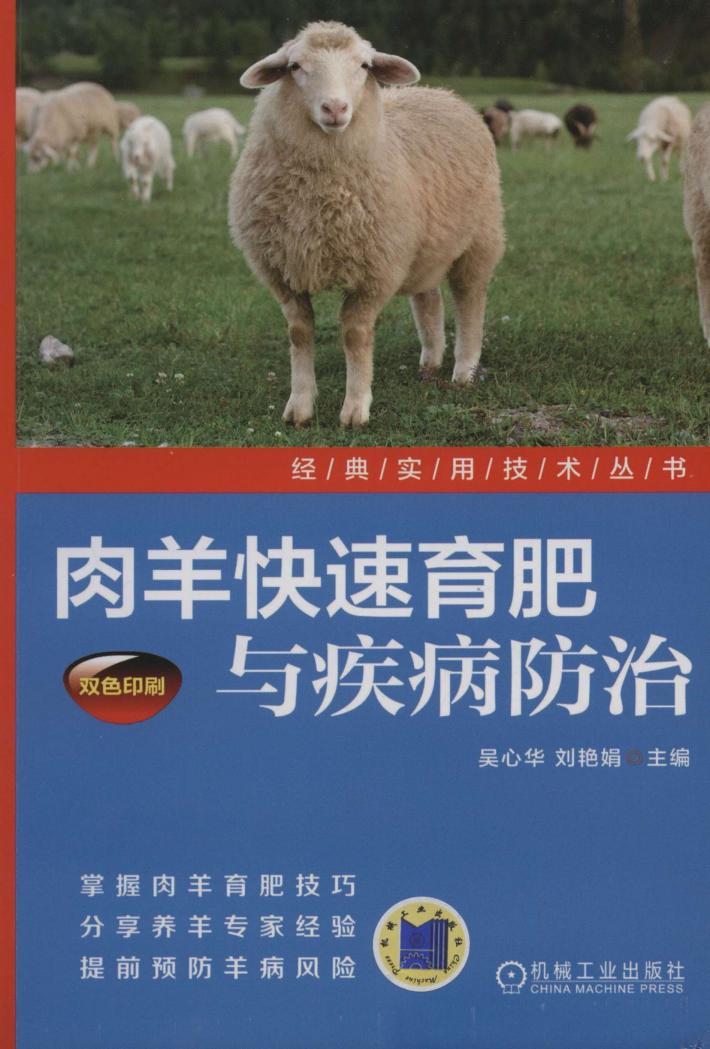 肉羊快速育肥与疾病防治 封面