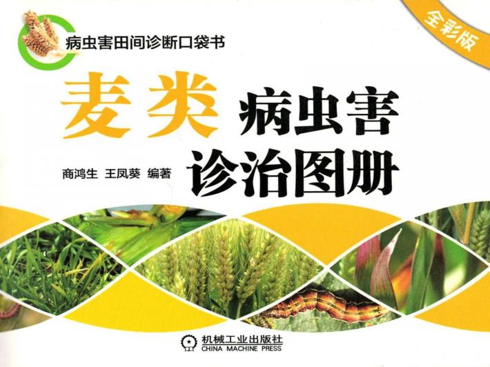 麦类病虫害诊治图册  全彩版 封面