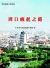 周口崛起之路 封面