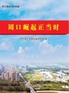 周口崛起正当时 封面