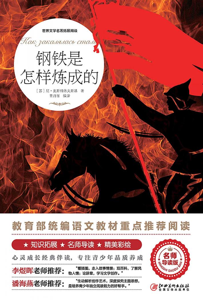 钢铁是怎样炼成的 封面