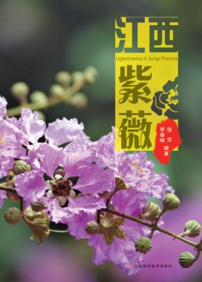 江西紫薇 封面